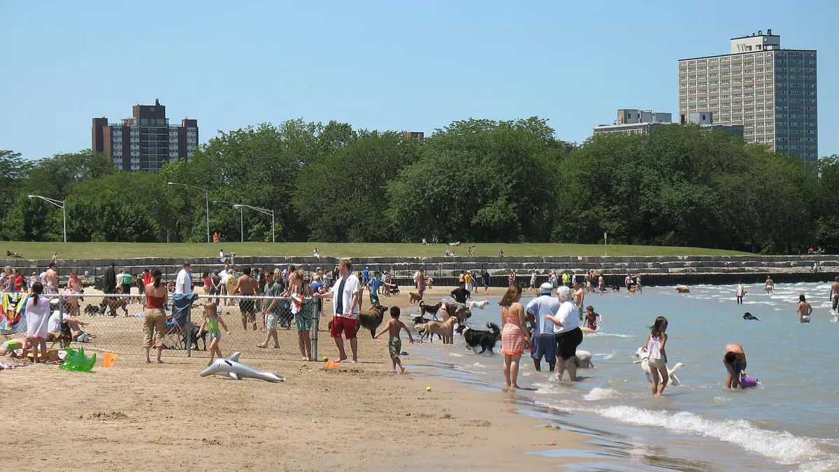 Dogs and people at the Montrose Avenue Dog Beach on Lake Michigan, Chicago